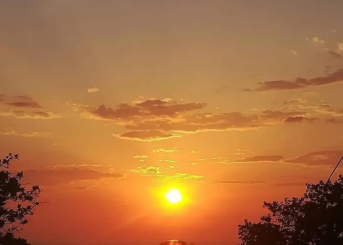 Le Muse Falerna Scalo